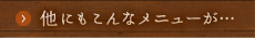 他にもこんなメニューが…